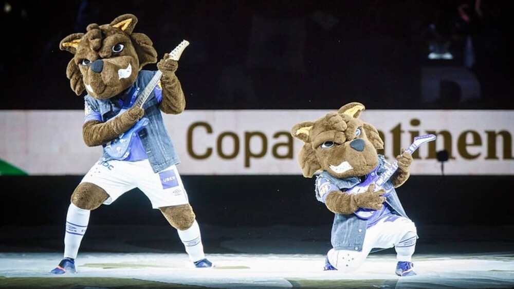 Cruzeiro: Raposinho celebra vitória e classificação na Copa do Brasil