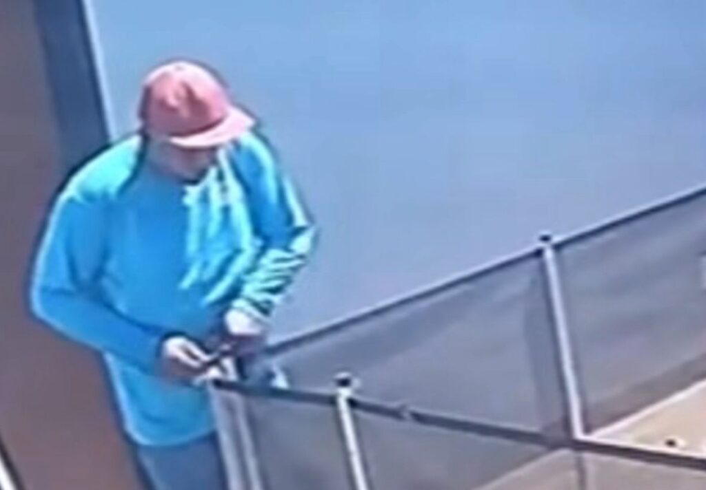 Piscineiro herói salva cachorro cego de afogamento em piscina