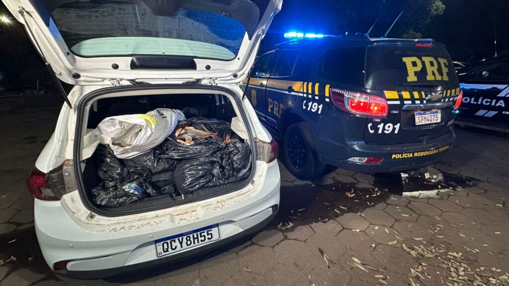 PRF apreende 300 kg de pescado irregular em MT