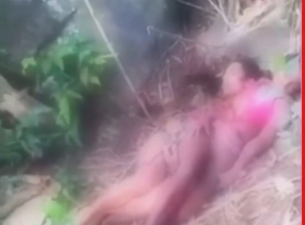 Travesti e amiga são mortas a pauladas em mata; caso choca