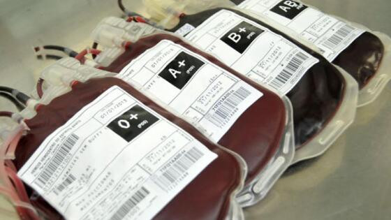 UPA Realiza Primeira Transfusão de Sangue de Urgência