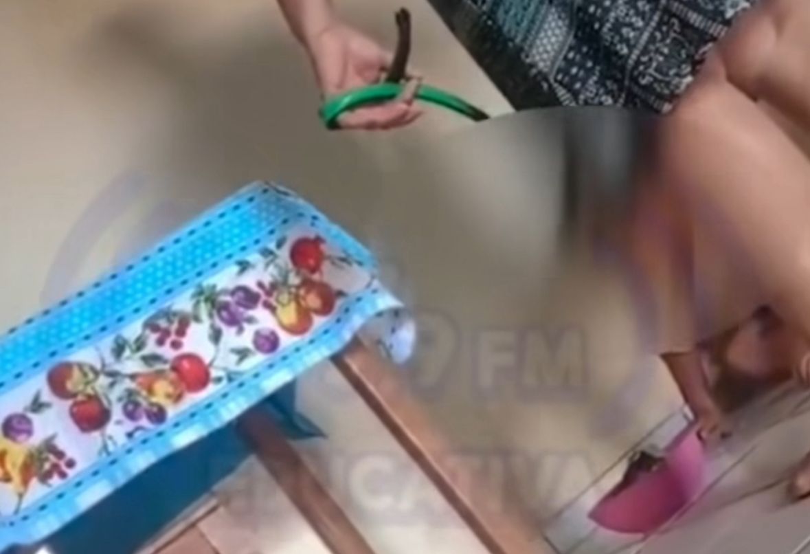 Idosos presos em MT por torturar netos; vídeo choca