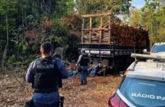 Operação contra desmatamento ilegal prende oito em Nova Ubiratã