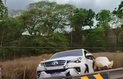 Caminhonete atinge poste na Rodovia do Peixe e causa interdição