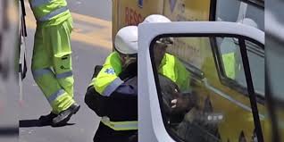 Socorristas do Pantanal vivem drama e milagre em uma semana