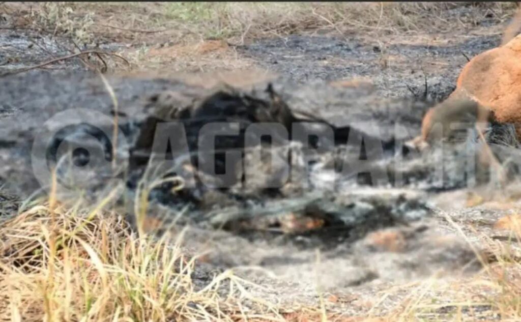 Corpo carbonizado é encontrado em área de mata em Rondonópolis