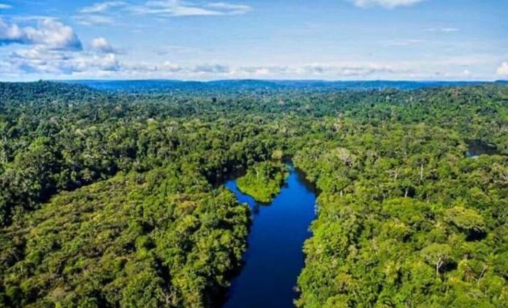 Cáceres sedia primeira COP Pantanal e insere MT no debate climático global