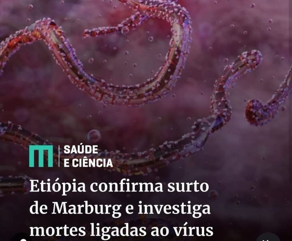 Vírus de Marburg: Etiópia confirma mortes e intensifica rastreamento
