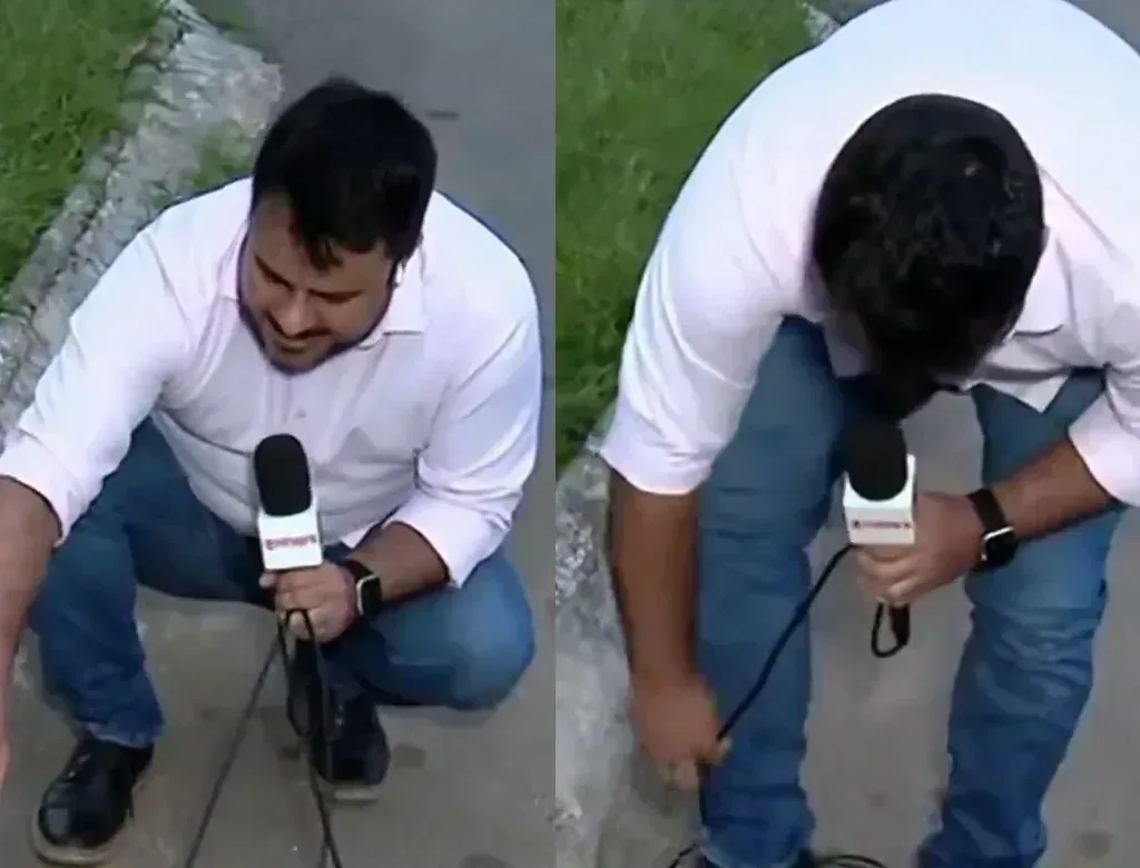 Quatro cachorros atacam microfone de repórter durante… e repercute entre morador em destaque