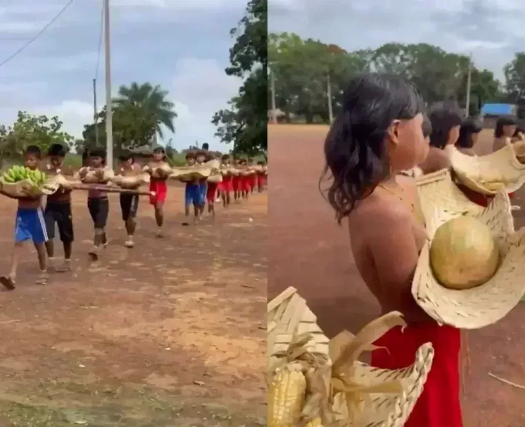 Crianças indígenas destacam produção agrícola em evento no em MT e mobiliza a co em destaque