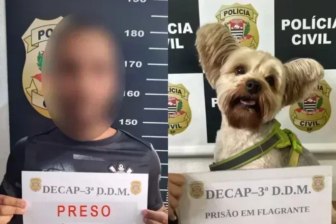 Homem é preso após furtar cachorro da ex com máscara r… e repercute entre morado em destaque
