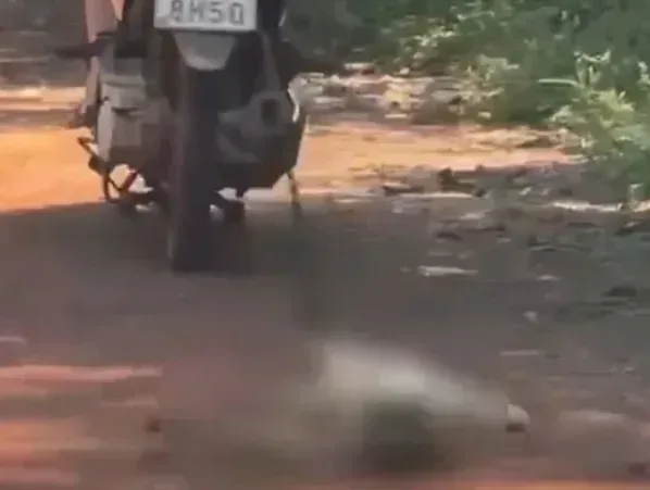 Vídeo mostra animal sendo arrastado por moto e gera revolta em V… e mobiliza a c em destaque