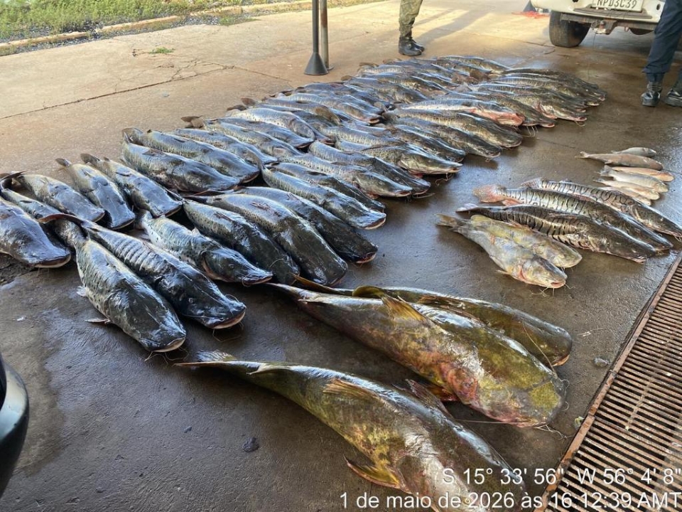 Polícia apreende 465 kg de pescado ilegal e prende homem em Várz… e mobiliza a c em destaque