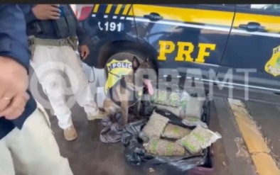 PRF apreende mais de 11 kg de “supermaconha” em ônibus durante fiscalização em R em destaque