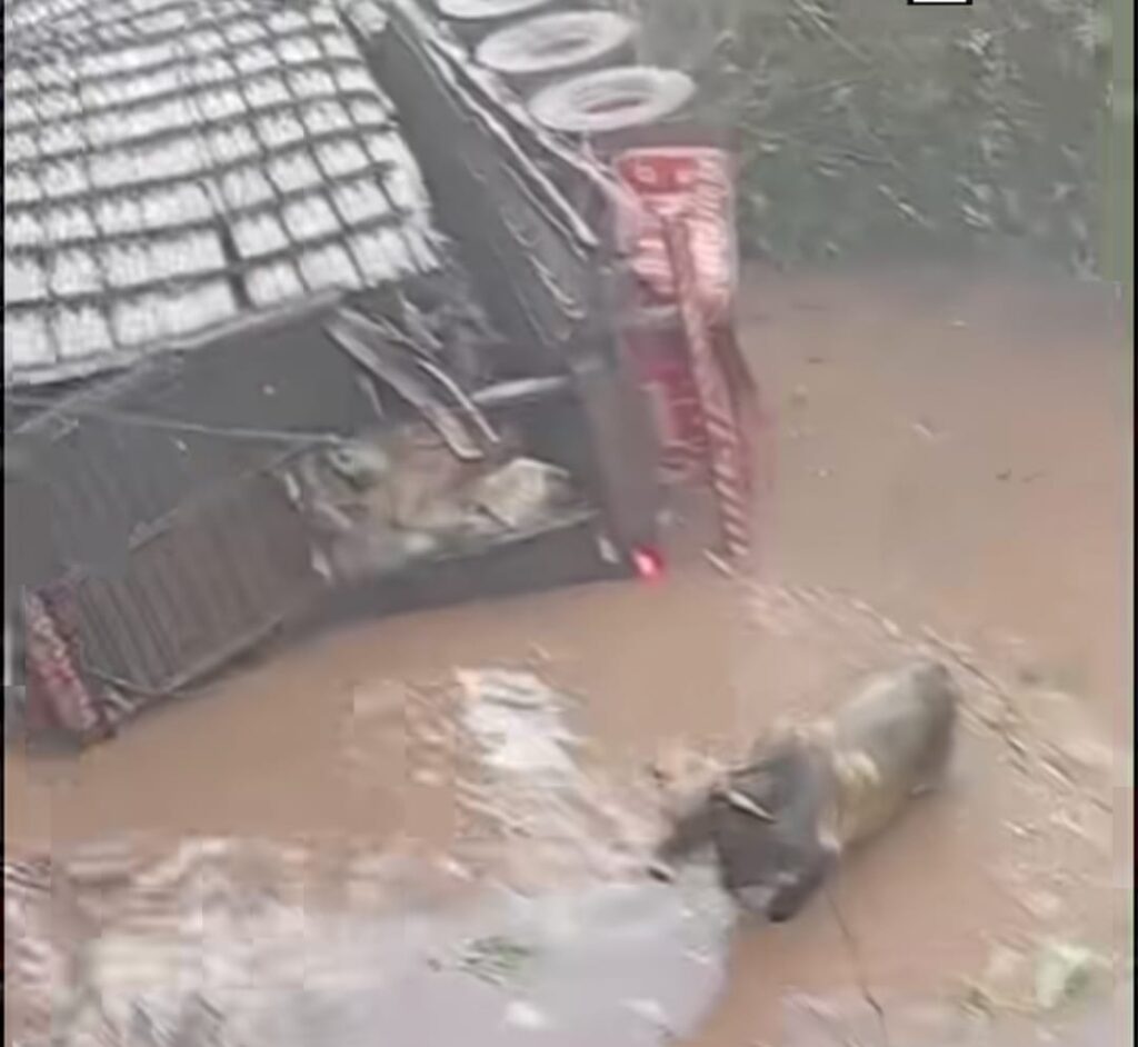 queda carreta bois Rio Batelão impacto comunidades MT-220 em destaque