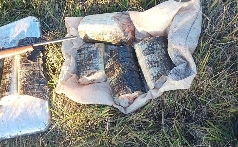 fiscalização ambiental Poconé Pantanal em destaque