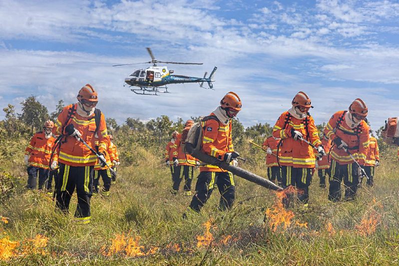 período proibitivo queimadas Pantanal Mato Grosso em destaque
